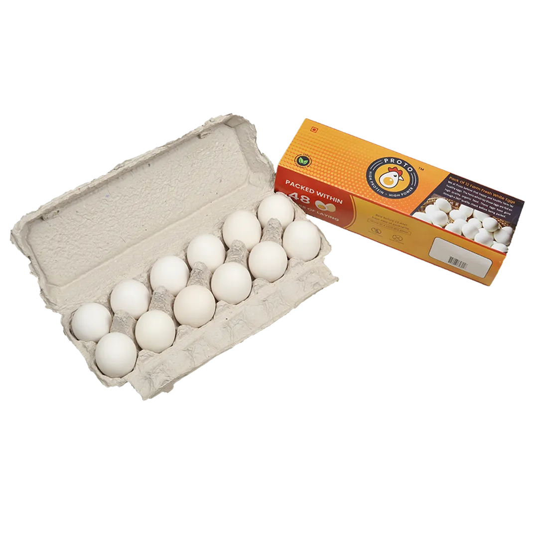 Dozen Egg Pack | Proto Eggs